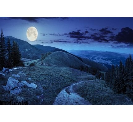 Pine Trees Near Valley Mountain Night Wall Mural Wall Tapestry tapestries