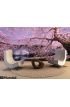 Cherryblossom light up Wall Mural Wall art Wall decor