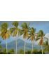 Palm Trees Playa El Espino Wall Mural Wall Tapestry tapestries