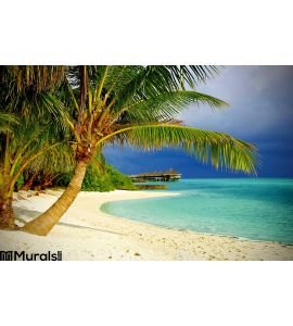 Tropical Beach Palms Wall Mural