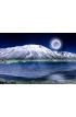 Magic Winter Night Wall Mural Wall Tapestry tapestries