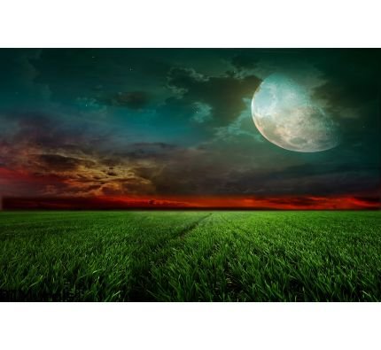 Rural Night Moon Wall Mural Wall Tapestry tapestries