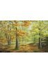 Autumn Wood Wall Mural Wall Tapestry tapestries