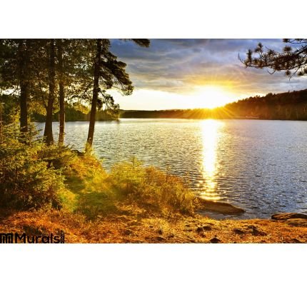 Sunset over lake Wall Mural Wall Tapestry tapestries