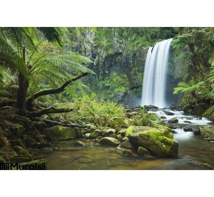 Rainforest Waterfalls Hopetoun Falls Victoria Australia Wall Mural Wall Tapestry tapestries