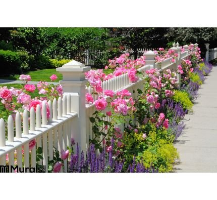 Garden fence with pink roses Wall Mural Wall Tapestry tapestries
