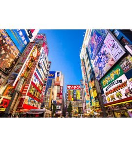 Tokyo Akihabara Japan Wall Mural Wall Tapestry tapestries