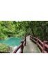 Pathway Located Deep Forest Over Natural Blue Lagoon Wall Mural Wall Tapestry tapestries