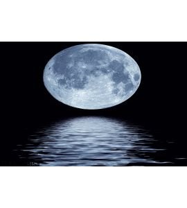 Full Moon Over Water Wall Mural Wall Tapestry tapestries