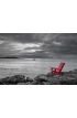 Red chair black and white nature background Wall Mural Wall Tapestry tapestries