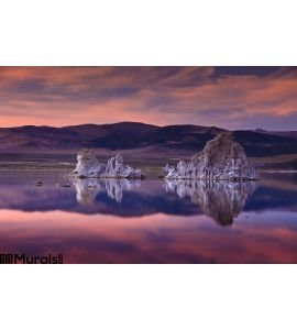 Mono Lake Wall Mural Wall Tapestry tapestries