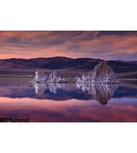 Mono Lake Wall Mural