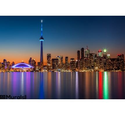 Toronto Skyline Dusk Wall Mural Wall Tapestry tapestries