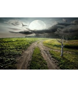 Dry tree and moon Wall Mural Wall Tapestry tapestries