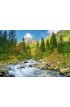 Mountain Brook Landscape Carpathian Mountains Trees Stream Wall Mural Wall Tapestry tapestries