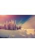 Panorama of the winter sunrise in the forest Wall Mural Wall Tapestry tapestries