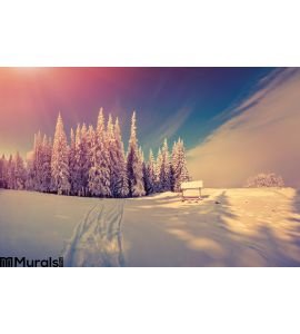 Panorama of the winter sunrise in the forest Wall Mural