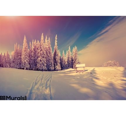 Panorama of the winter sunrise in the forest Wall Mural Wall Tapestry tapestries