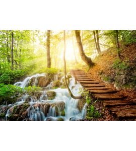 Deep Forest Stream Crystal Clear Water Sunshine Wall Mural Wall Tapestry tapestries