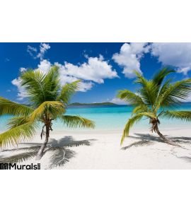 Palm Tree Tropical Island Beach Wall Mural Wall Tapestry tapestries