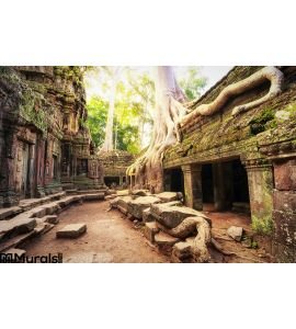 Angkor Wat Cambodia Ta Prohm Khmer Ancient Buddhist Temple Wall Mural