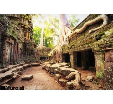 Angkor Wat Cambodia Ta Prohm Khmer Ancient Buddhist Temple Wall Mural Wall art Wall decor