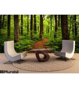 Trail Tall Trees Lush Forest Shenandoah National Park Wall Mural Wall art Wall decor