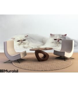 2 White Persian Cats Wall Mural Wall art Wall decor