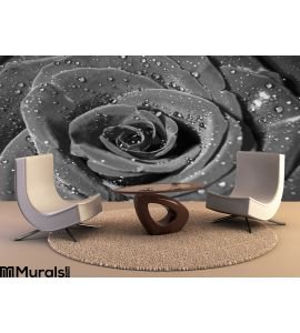 Rose Water Drops Wall Mural Wall art Wall decor