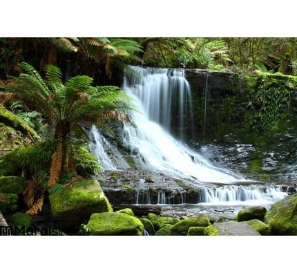 Russel Falls Mt Field National Park Tasmania Aus Wall Mural Wall art Wall decor