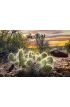 Cactus Sunrise Wall Mural Wall Tapestry tapestries