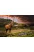Red Deer Stag Dramatic Mountain Landscape Wall Mural Wall Tapestry tapestries
