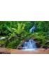 Jungle Background Wall Mural Wall Tapestry tapestries