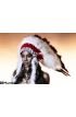 American Indian Woman Wall Mural Wall Tapestry tapestries