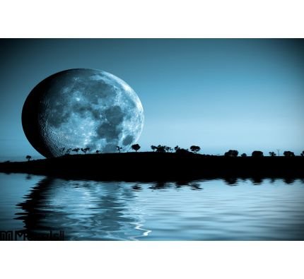 Moon Landscape Wall Mural Wall art Wall decor