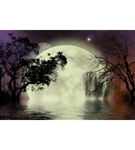Moon Fairy Background Wall Mural