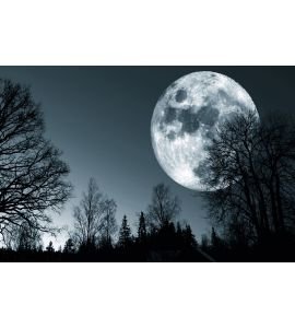 Night Moon Sky Wall Mural Wall Tapestry tapestries