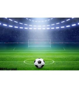 Soccer Stadium Wall Mural Wall art Wall decor