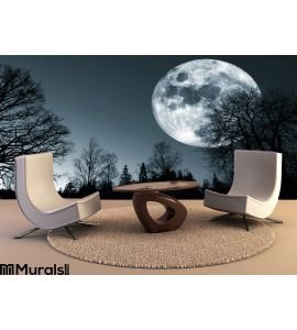 Night Moon Sky Wall Mural Wall art Wall decor