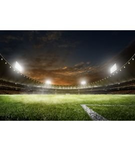 Empty Night Grand Soccer Arena Lights Wall Mural