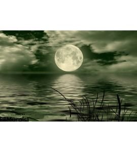 Full Moon Wall Mural Wall art Wall decor