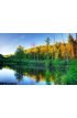 Beaver Pond Sunset Wall Mural Wall Tapestry tapestries
