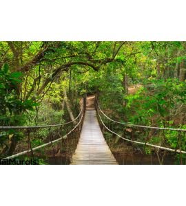 Bridge To Deep Jungle Wall Mural Wall Tapestry tapestries
