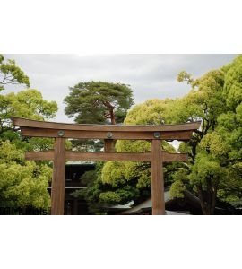 Grand Shrine Gate Meiji Jingu Temple Tokyo Wall Mural Wall art Wall decor
