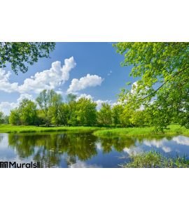 Spring Landscape River Clouds Blue Sky Green Trees Wall Mural Wall art Wall decor