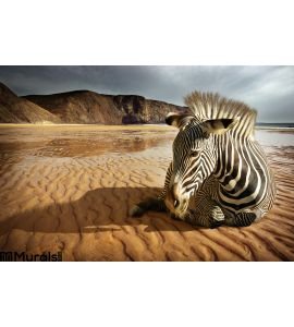 Beach Zebra Wall Mural Wall art Wall decor