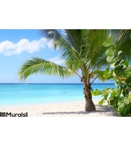 Tropical Beach Bay Wall Mural Wall art Wall decor