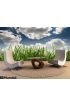 Grass Sky Wall Mural Wall Tapestry tapestries
