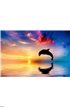 Beautiful ocean and sunset, dolphin jumping Wall Mural Wall art Wall decor