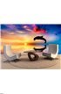 Beautiful ocean and sunset, dolphin jumping Wall Mural Wall Tapestry tapestries